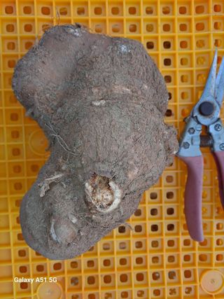 창공 귀농귀촌 초보님의 우리동네 · 동네자랑 작성글 사진