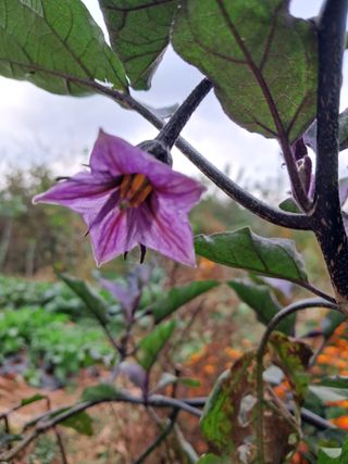 장은주님의 2024년 농사 계획은? · 참여글 작성글 사진