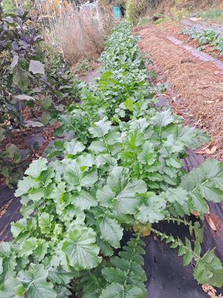 장은주님의 2024년 농사 계획은? · 참여글 작성글 사진