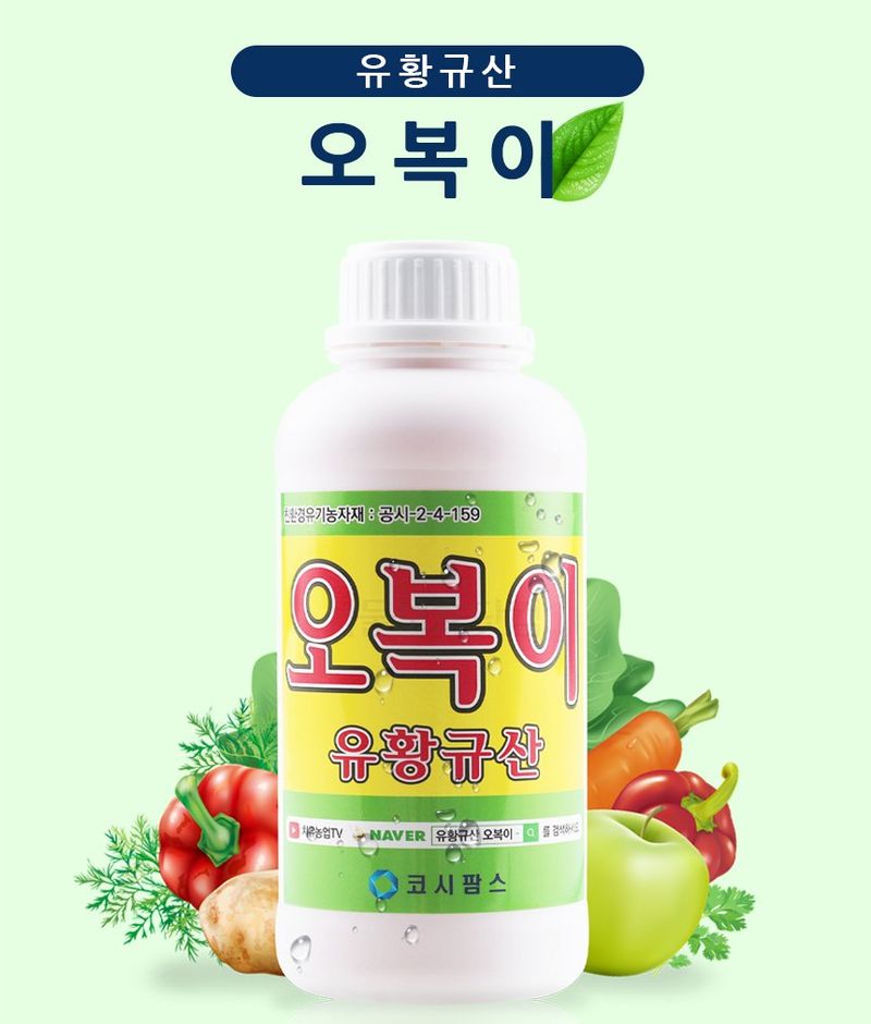 식물보호닷컴님의 장터 판매 상품 [무료배송 오복이] 첨부 사진