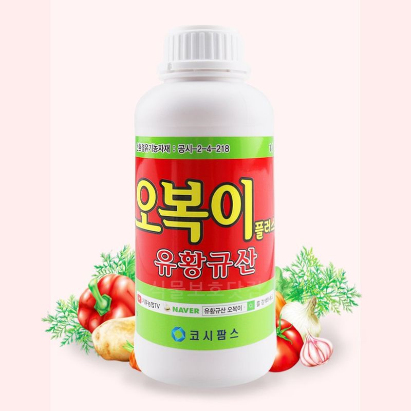 장터 상품 [무료배송 오복이] 썸네일