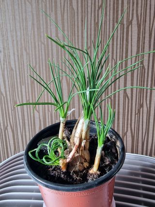 송명희님의 작성글 사진