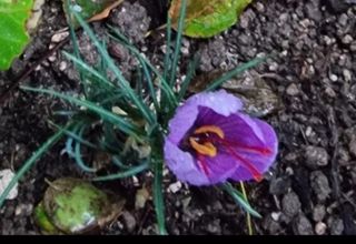 송명희님의 작성글 사진