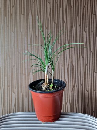 송명희님의 작성글 사진