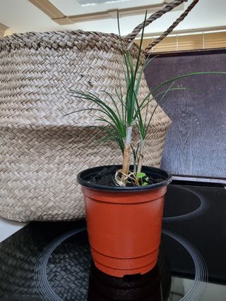 송명희님의 작성글 사진