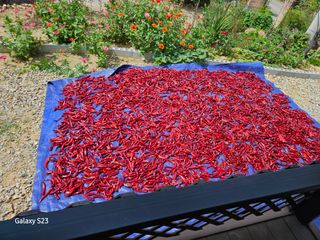 윤용탁님의 2024년 농사 계획은? · 참여글 작성글 사진