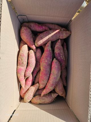 윤용탁님의 2024년 농사 계획은? · 참여글 작성글 사진