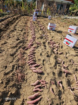 윤용탁님의 2024년 농사 계획은? · 참여글 작성글 사진