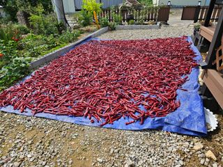 윤용탁님의 2024년 농사 계획은? · 참여글 작성글 사진