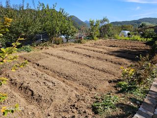 윤용탁님의 2024년 농사 계획은? · 참여글 작성글 사진