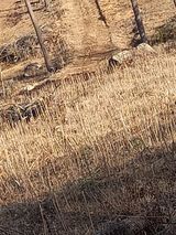 팜모닝 2024년 농사 계획은?·참여글 게시글 이미지