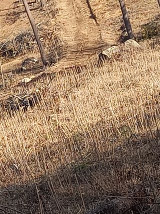 김낙성님의 2024년 농사 계획은? · 참여글 작성글 사진