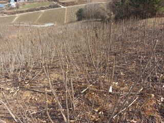 김낙성님의 2024년 농사 계획은? · 참여글 작성글 사진