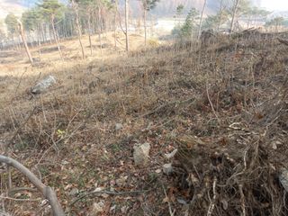 김낙성님의 2024년 농사 계획은? · 참여글 작성글 사진