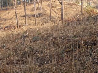 김낙성님의 2024년 농사 계획은? · 참여글 작성글 사진