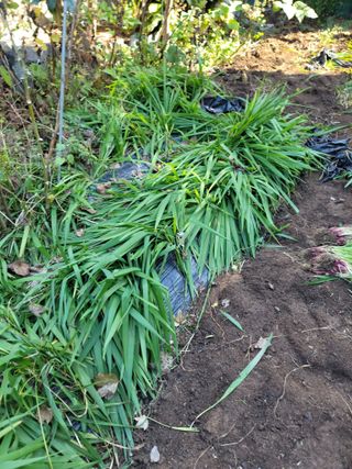 유위정님의 2024년 농사 계획은? · 참여글 작성글 사진