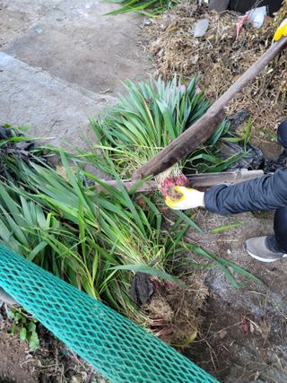 유위정님의 2024년 농사 계획은? · 참여글 작성글 사진