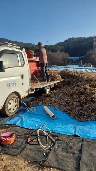 박진하님의 콩 · 자유게시판 작성글 사진