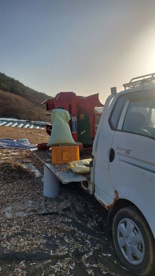 박진하님의 콩 · 자유게시판 작성글 사진