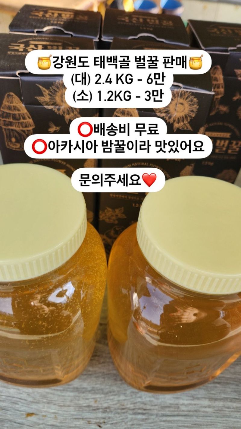 장터 상품 [태백산 정기 머금은. 야생화. 아카시아 꿀(2.4kg)] 썸네일