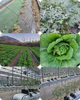 팜모닝 2024년 농사 계획은?·참여글 게시글 이미지