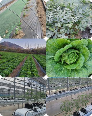 신재용님의 2024년 농사 계획은? · 참여글 작성글 사진