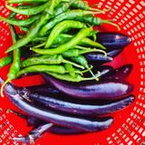 팜모닝 2024년 농사 계획은?·참여글 게시글 이미지