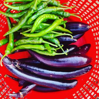 오정현님의 2024년 농사 계획은? · 참여글 작성글 사진