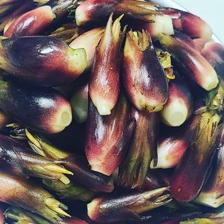 오정현님의 2024년 농사 계획은? · 참여글 작성글 사진