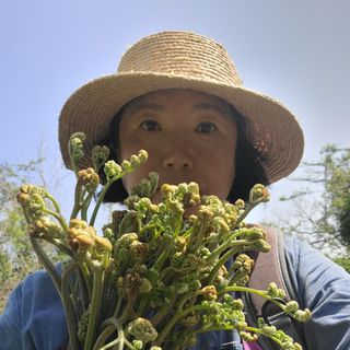 오정현님의 2024년 농사 계획은? · 참여글 작성글 사진