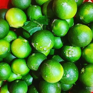 오정현님의 2024년 농사 계획은? · 참여글 작성글 사진