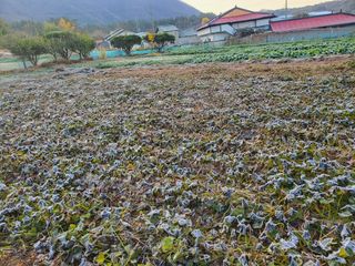 논산상월안정환님의 2024년 농사 계획은? · 참여글 작성글 사진