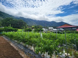 논산상월안정환님의 2024년 농사 계획은? · 참여글 작성글 사진