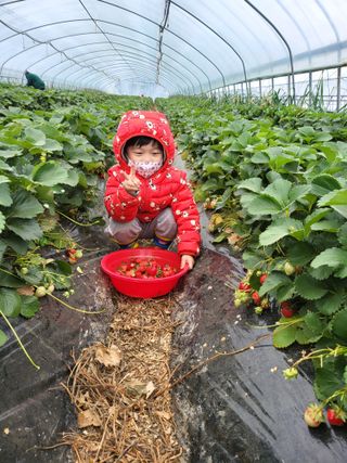 논산상월안정환님의 2024년 농사 계획은? · 참여글 작성글 사진