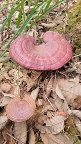 팜모닝 자유주제·자유게시판 게시글 이미지