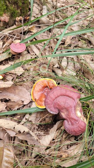 강화댁님의 자유주제 · 자유게시판 작성글 사진