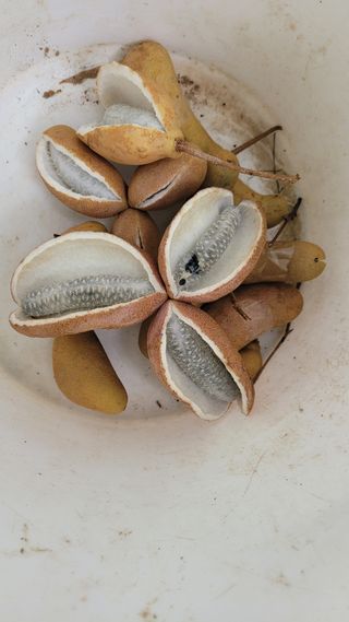 강화댁님의 자유주제 · 자유게시판 작성글 사진