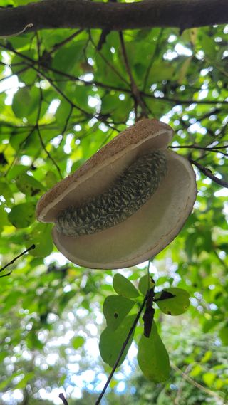 강화댁님의 자유주제 · 자유게시판 작성글 사진