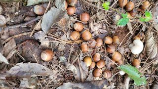 강화댁님의 자유주제 · 자유게시판 작성글 사진