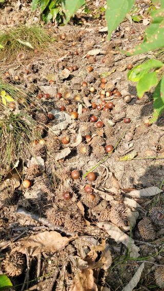 강화댁님의 자유주제 · 자유게시판 작성글 사진