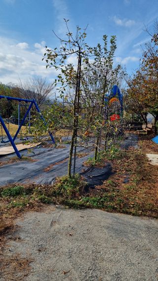 금산농장초보님의 2024년 농사 계획은? · 참여글 작성글 사진