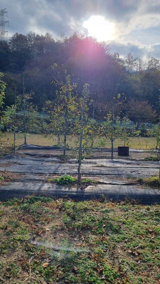 금산농장초보님의 2024년 농사 계획은? · 참여글 작성글 사진