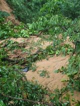 팜모닝 2024년 농사 계획은?·참여글 게시글 이미지