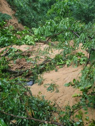 봉화아낙님의 2024년 농사 계획은? · 참여글 작성글 사진