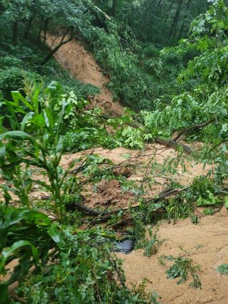 봉화아낙님의 2024년 농사 계획은? · 참여글 작성글 사진