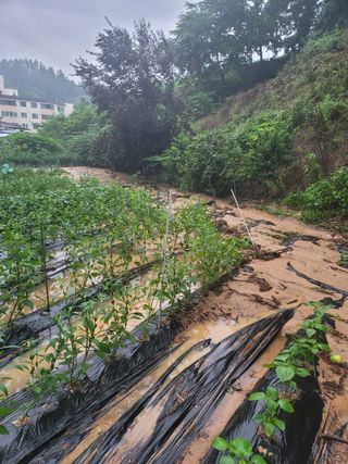 봉화아낙님의 2024년 농사 계획은? · 참여글 작성글 사진
