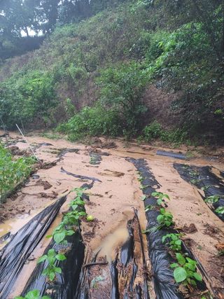 봉화아낙님의 2024년 농사 계획은? · 참여글 작성글 사진