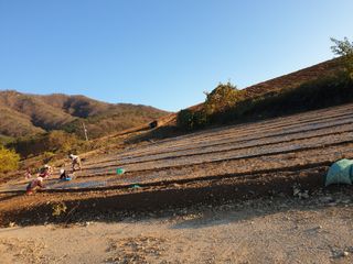 낙엽교목류12587님의 2024년 농사 계획은? · 참여글 작성글 사진