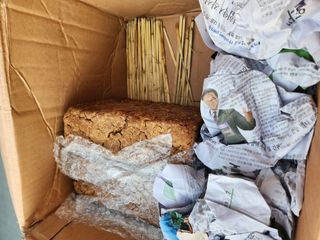 논산. 이순자님의 자유주제 · 칭찬해요 작성글 사진