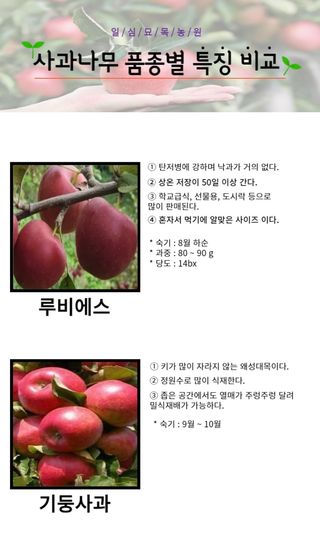 일심묘목농원님의 기타작물 · 자유게시판 작성글 사진